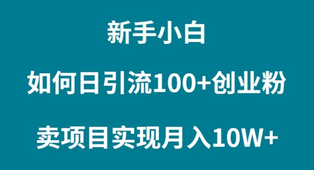图片[1]-【2024.03.23】新手小白如何通过卖项目实现月入10W+百度网盘免费下载-芽米宝库