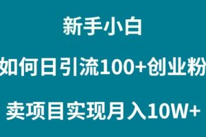 【2024.03.23】新手小白如何通过卖项目实现月入10W+百度网盘免费下载-芽米宝库