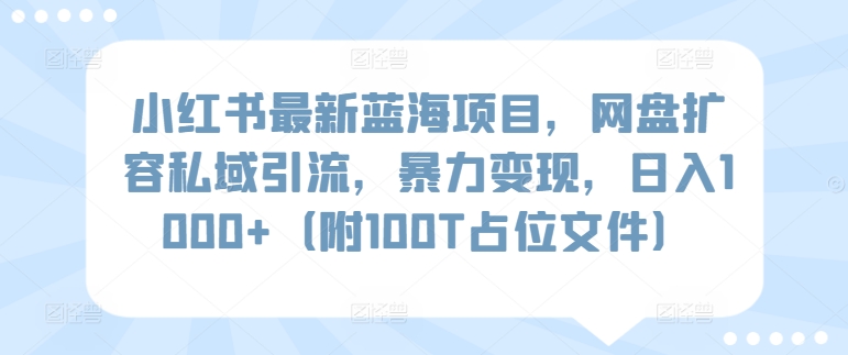 图片[1]-【2024.03.22】小红书最新蓝海项目，网盘扩容私域引流，暴力变现，日入1000+（附100T占位文件）百度网盘免费下载-芽米宝库
