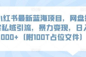 【2024.03.22】小红书最新蓝海项目，网盘扩容私域引流，暴力变现，日入1000+（附100T占位文件）百度网盘免费下载-芽米宝库