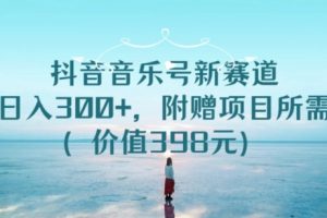 【2024.03.22】抖音音乐号新赛道，实测日入300+，附赠项目所需素材（价值398元）百度网盘免费下载-芽米宝库