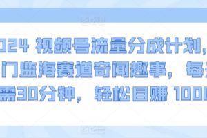 【2024.03.22】2024视频号流量分成计划，冷门蓝海赛道奇闻趣事，每天只需30分钟，轻松日赚 1000+百度网盘免费下载-芽米宝库