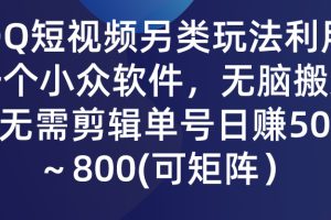 【2024.03.19】QQ短视频另类玩法，利用一个小众软件，无脑搬运，无需剪辑单号日赚500～800(可矩阵)百度网盘免费下载-芽米宝库