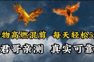 【2024.03.19】动物超燃混剪，每天轻松5张，剪辑简单大家爱看百度网盘免费下载-芽米宝库