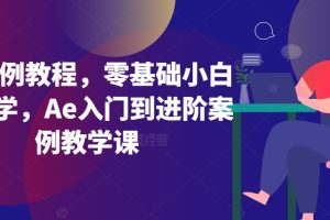 【2024.03.19】Ae案例教程，零基础小白也能学，Ae入门到进阶案例教学课百度网盘免费下载-芽米宝库