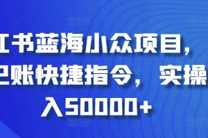 【2024.03.19】小红书蓝海小众项目，自动记账快捷指令，实操月入50000+百度网盘免费下载-芽米宝库