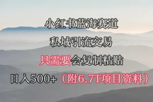 【2024.03.19】小红书短剧赛道，私域引流交易，会复制粘贴，日入500+（附6.7T短剧资源）百度网盘免费下载-芽米宝库