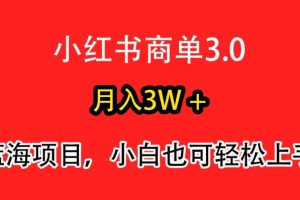 【2024.03.16】小红书商单3.0，月入3w+，蓝海项目，小白轻松上手百度网盘免费下载-芽米宝库