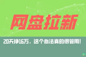【2024.03.13】网盘拉新+私域全自动玩法，0粉起号，小白可做，当天见收益，已测单日破5000百度网盘免费下载-芽米宝库