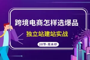【2024.03.13】跨境电商怎样选爆品，独立站建站实战（20节高清无水印课）百度网盘免费下载-芽米宝库