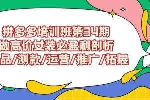 【2024.03.11】拼多多培训班第34期：做高价女装必盈利剖析 选品/测款/运营/推广/拓展百度网盘免费下载-芽米宝库