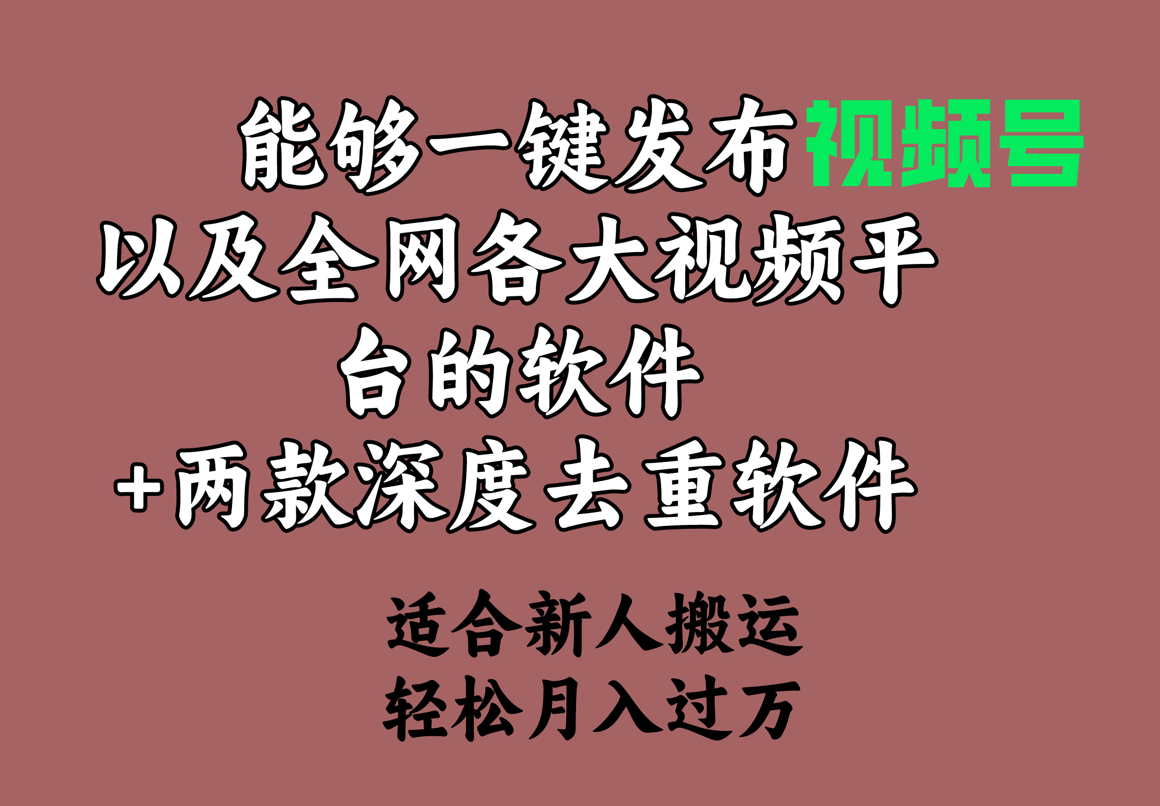 图片[1]-【2024.03.10】能够一键发布视频号以及全网各大视频平台的软件+两款深度去重软件 适合新人搬运 月入过万百度网盘免费下载-芽米宝库