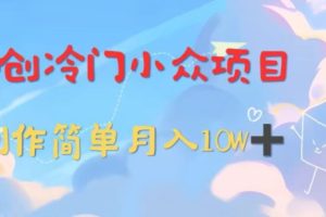 【2024.03.11】独创冷门小众项目，有钱人的最爱，暴力变现，制作简单，月入10W+百度网盘免费下载-芽米宝库