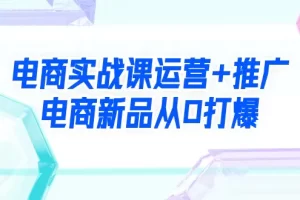 【2024.03.10】电商实战课运营+推广，电商新品从0打爆（99节视频课）百度网盘免费下载-芽米宝库