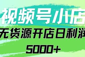 【2024.03.09】视频号无货源小店从0到1，日订单量千单以上，纯利润稳稳5000+百度网盘免费下载-芽米宝库