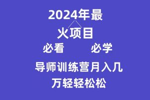 【2024.03.09】导师训练营互联网最牛逼的项目没有之一，新手小白必学，月入3万+轻轻松松百度网盘免费下载-芽米宝库