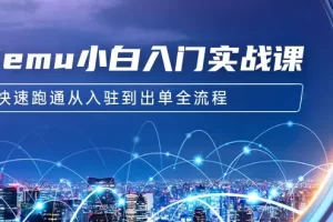 【2024.03.09】Temu小白入门实战课：跨境拼多多电商培训 快速跑通从入驻到出单全流程-12节百度网盘免费下载-芽米宝库