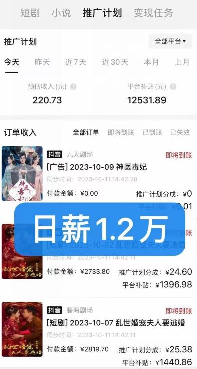 图片[4]-【2024.03.09】免费短剧分销项目，日入500+！百度网盘免费下载-芽米宝库
