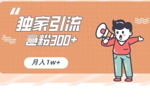 【2024.03.08】独家推荐，日引300+精准男粉，小白简单上手，月变现1w+百度网盘免费下载-芽米宝库