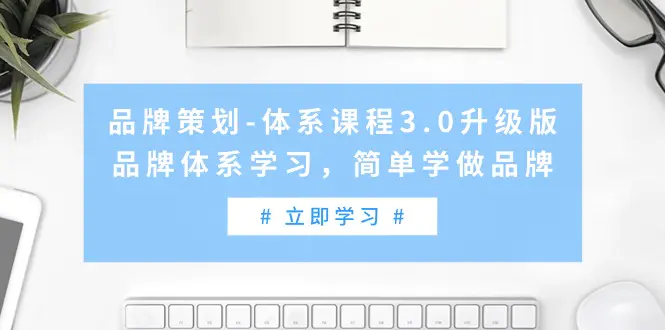 图片[1]-【2024.03.08】品牌策划-体系课程3.0升级版，品牌体系学习，简单学做品牌（高清无水印）百度网盘免费下载-芽米宝库