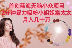 【2024.03.07】首创蓝海无脑小众项目，2分钟暴力吸粉小姐姐富太太，月入几十万百度网盘免费下载-芽米宝库