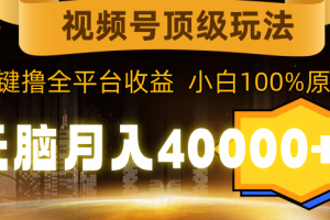 【2024.03.07】视频号顶级玩法，无脑月入40000+，一键撸全平台收益，纯小白也能100%原创百度网盘免费下载-芽米宝库