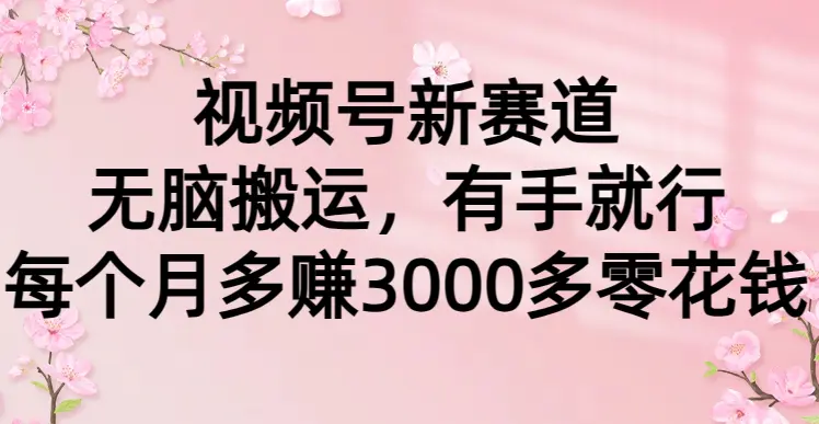 图片[1]-【2024.03.07】视频号新赛道，无脑搬运，有手就行，每个月多赚3000多零花钱百度网盘免费下载-芽米宝库