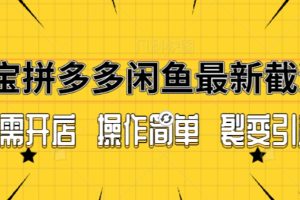 【2024.03.07】拼多多淘宝闲鱼最新引流方法，无需开店长久精准引流100+百度网盘免费下载-芽米宝库