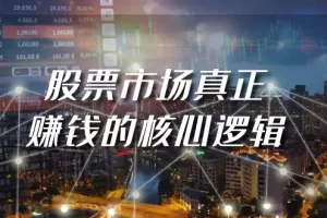 【2024.03.07】某公众号付费文章《股票市场真正赚钱的核心逻辑》百度网盘免费下载-芽米宝库