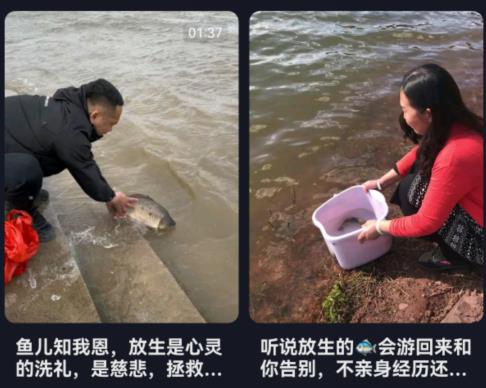 图片[1]-【2024.03.07】讲几个短视频偏门路子的玩法逻辑！百度网盘免费下载-芽米宝库