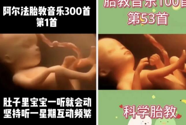 图片[3]-【2024.03.07】讲几个短视频偏门路子的玩法逻辑！百度网盘免费下载-芽米宝库