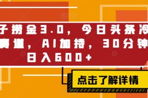 【2024.03.04】野路子捞金3.0，今日头条冷门小赛道，AI加持，30分钟日入600+百度网盘免费下载-芽米宝库