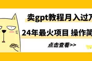 【2024.03.02】2024年最火项目，卖gpt教程月入过万，操作简单百度网盘免费下载-芽米宝库