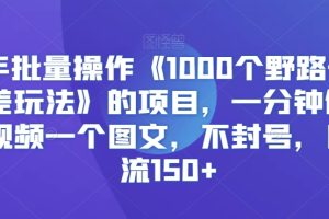 【2024.03.02】快手批量操作《1000个野路子信息差玩法》的项目，一分钟做一个视频一个图文，不封号，日引流150+百度网盘免费下载-芽米宝库