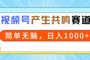 【2024.03.01】2024年视频号，产生共鸣赛道，简单无脑，一分钟一条视频，日入1000+百度网盘免费下载-芽米宝库
