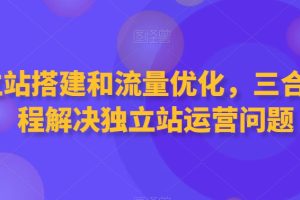 【2024.03.01】独立站搭建和流量优化，三合一课程解决独立站运营问题百度网盘免费下载-芽米宝库