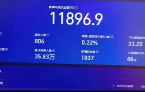 【2024.02.28】支付宝无人带货2.0高收益玩法，亲测单日收益1000+，小白必备项目百度网盘免费下载-芽米宝库