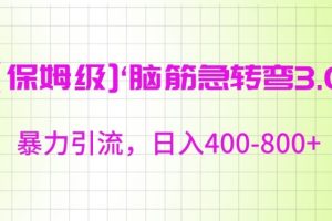 【2024.02.26】保姆级脑筋急转弯3.0，暴力引流，日入400-800+百度网盘免费下载-芽米宝库