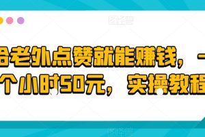 【2024.02.26】给老外点赞就能赚钱，一个小时50元，实操教程百度网盘免费下载-芽米宝库