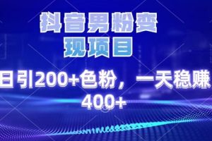 【2024.02.26】抖音男粉变现项目，日引200+色粉，一天稳赚400+百度网盘免费下载-芽米宝库