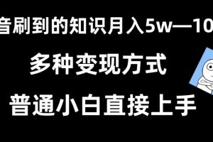 【2024.02.25】抖音刷到的知识，每天只需2小时，日入2000+，暴力变现，普通小白直接上手百度网盘免费下载-芽米宝库