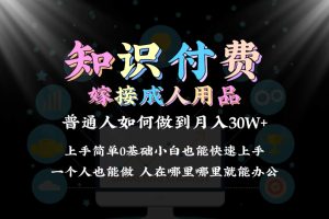 【2024.02.24】2024普通人做知识付费结合成人用品，如何实现单月变现30w，保姆教学1.0百度网盘免费下载-芽米宝库