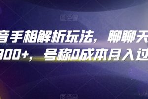 【2024.02.24】抖音手相解析玩法，聊聊天日入300+，号称0成本月入过万百度网盘免费下载-芽米宝库