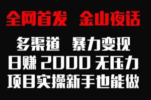 【2024.02.24】全网首发，金山夜话多渠道暴力变现，日赚2000无压力，项目实操新手也能做百度网盘免费下载-芽米宝库