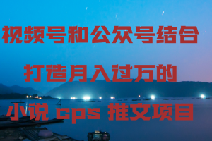 【2024.02.23】视频号和公众号结合，打造月入过万的小说cps推文项目百度网盘免费下载-芽米宝库