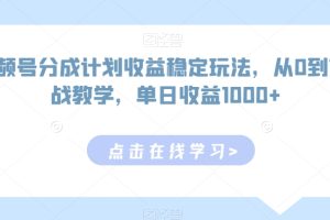 【2024.02.22】视频号分成计划收益稳定玩法，从0到1实战教学，单日收益1000+百度网盘免费下载-芽米宝库