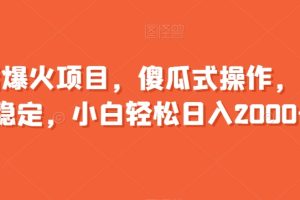 【2024.02.21】年后爆火项目，傻瓜式操作，收益稳定，小白轻松日入2000+百度网盘免费下载-芽米宝库