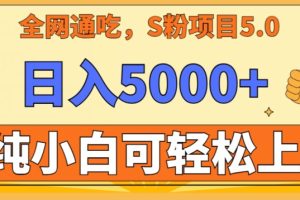 【2024.02.20】男粉项目5.0，最新野路子，纯小白可操作，有手就行，无脑照抄，纯保姆教学百度网盘免费下载-芽米宝库
