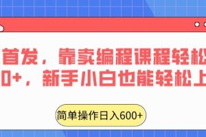 【2024.02.20】全网首发，靠卖编程课程轻松日入600+，新手小白也能轻松上手百度网盘免费下载-芽米宝库