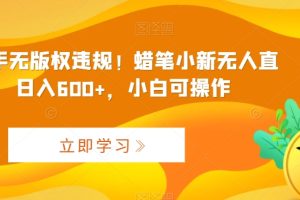 【2024.02.18】最新快手无版权违规！蜡笔小新无人直播，日入600+，小白可操作百度网盘免费下载-芽米宝库